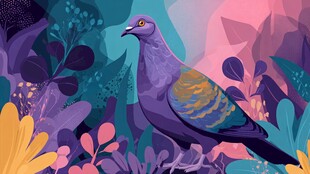 紫色鸽子于缤纷植物间