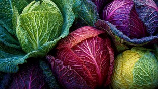 多彩卷心菜堆叠的视觉盛宴