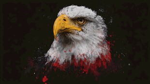 水墨风格白头海雕头像