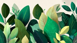 清新绿叶插画背景图