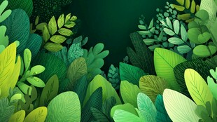 清新繁茂的绿植景观