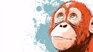 猩猩侧影 色彩泼墨风