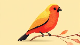 栖息枝头的艳丽小鸟