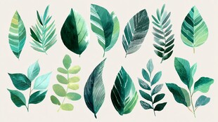 清新手绘风多样绿叶集合