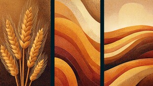 麦田风光三联画