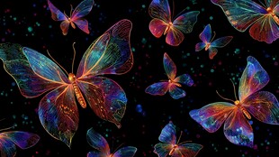 梦幻炫彩蝴蝶飞舞画面