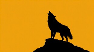 孤狼仰啸于橙黄天际