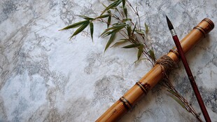 竹枝旁的毛笔与竹筒