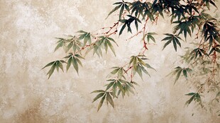 中式水墨风竹叶特写