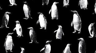黑白企鹅图案背景纹理