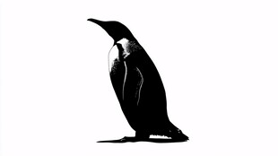 站立的企鹅剪影