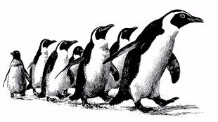 企鹅列队行走黑白插画