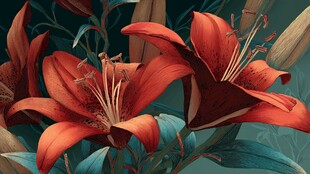 艳丽红百合绽放于绿植间