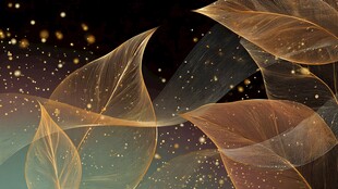 梦幻透明叶片星空背景图