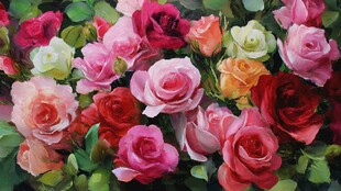 多彩玫瑰绽放美丽花簇