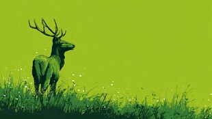 绿色原野上的雄鹿