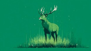 绿林雄鹿 静谧自然景象