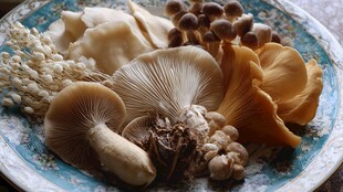 多彩多样的新鲜蘑菇拼盘