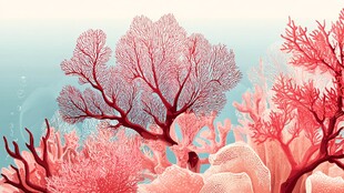 梦幻珊瑚海底美景