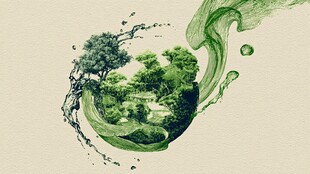 绿色地球 自然生态之美