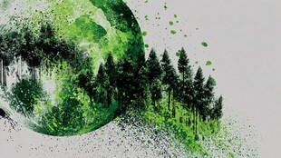 绿色地球与森林梦幻图景