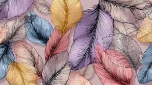 多彩羽毛图案 梦幻唯美风