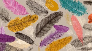 多彩羽毛图案背景设计