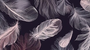 梦幻轻柔羽毛背景图案