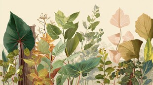 自然植物插画风景