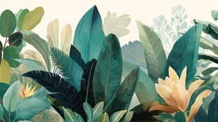 热带植物景观 清新自然风