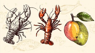 手绘龙虾与芒果插画