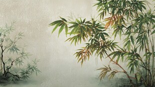 水墨竹林 清幽自然之景