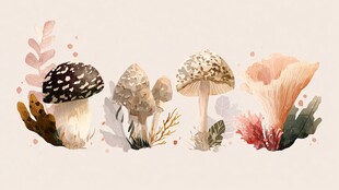 水彩风蘑菇植物插画