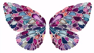 彩色梦幻蝴蝶翅膀图案