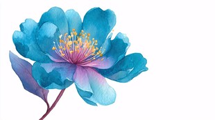 蓝色水彩风绽放花朵插画