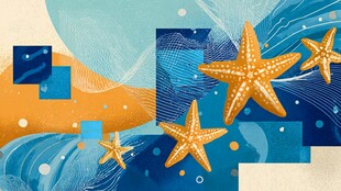 海星畅游梦幻海洋世界