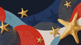 梦幻海星与多彩波浪图案