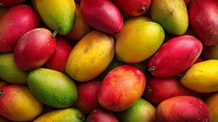 多彩芒果堆叠的视觉盛宴