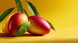 鲜艳芒果配绿叶色彩夺目