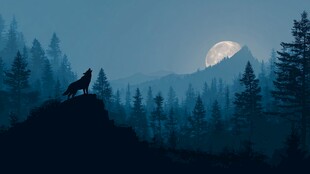 月夜孤狼啸于山林之巅