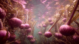 梦幻水下紫色大蒜景观