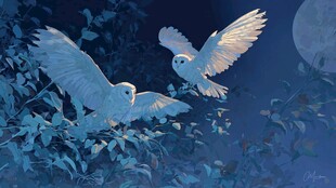 月夜双鹰共翔奇幻场景