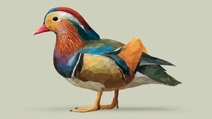 多彩几何风鸳鸯插画