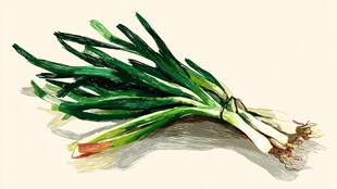 新鲜翠绿的一捆葱