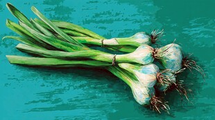 新鲜葱蒜组合 色彩清新