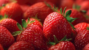 新鲜饱满的诱人红草莓