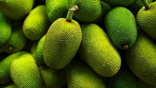 饱满的菠萝蜜果实堆叠