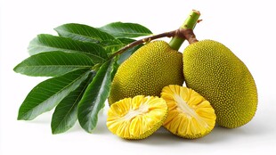 新鲜菠萝蜜及其切开果实