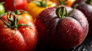 多彩鲜润西红柿特写