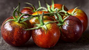 色泽诱人的成串黑番茄